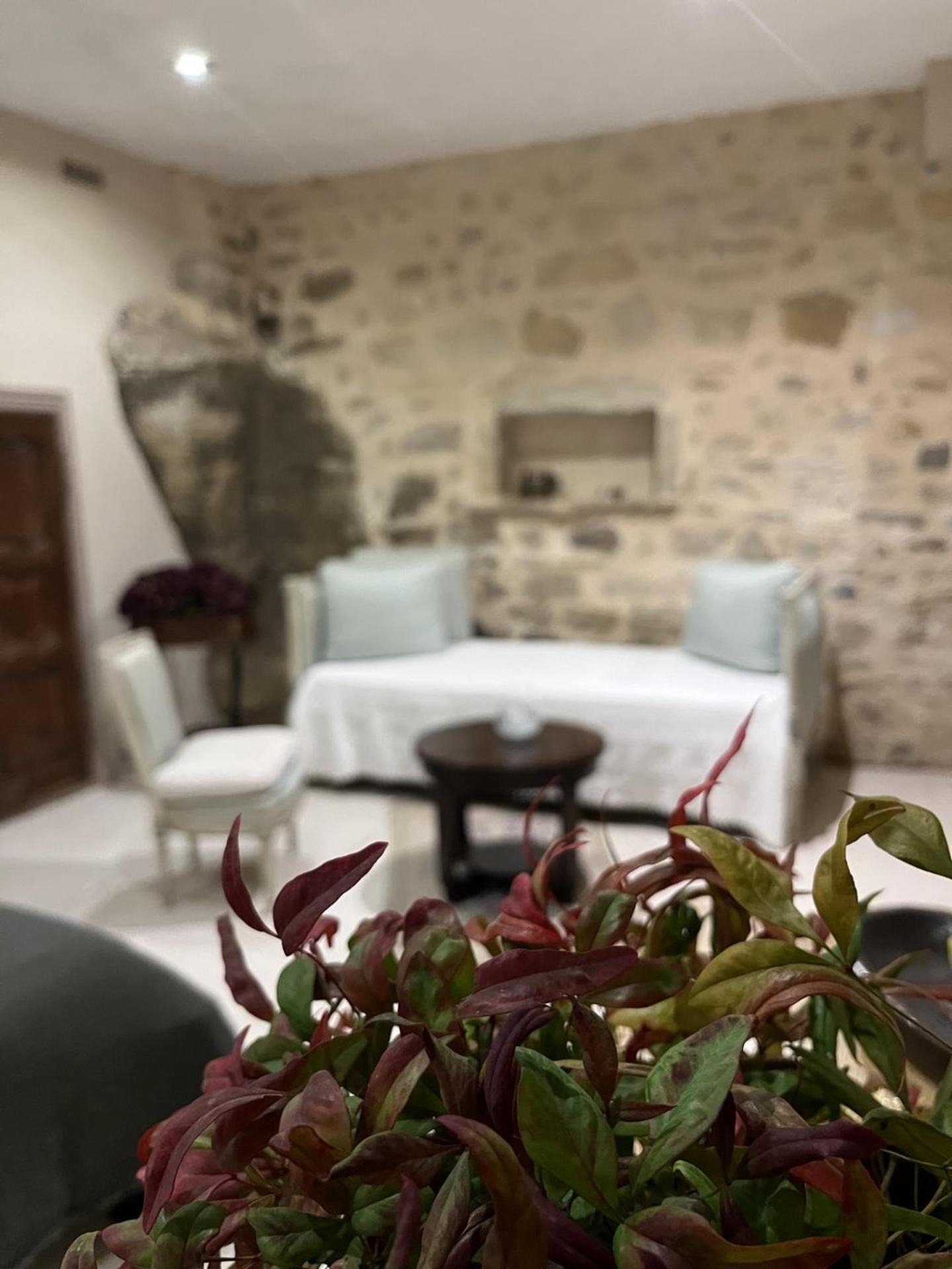 Le Logis D'Hortense Vic-le-Comte Екстериор снимка